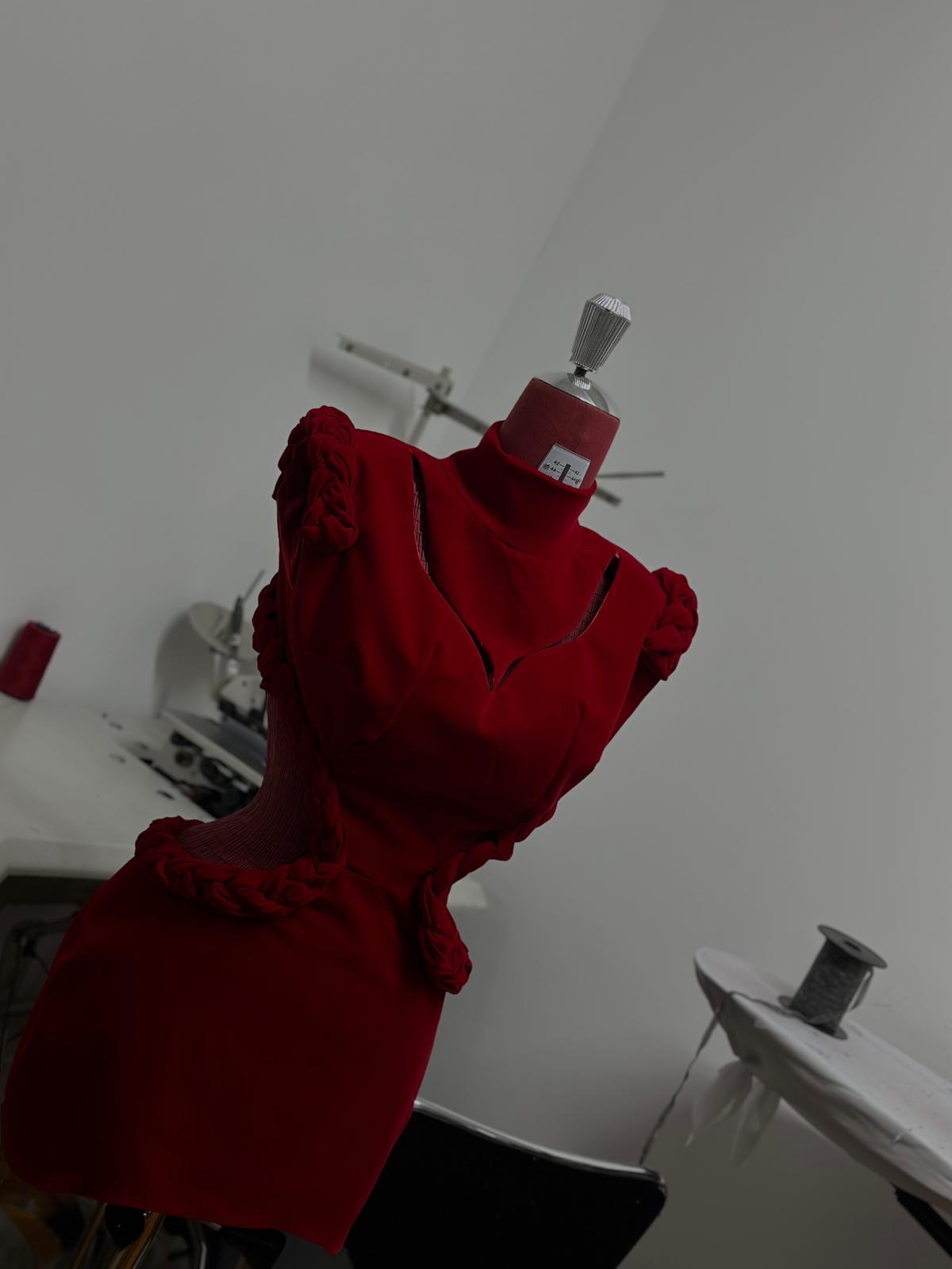 The Scarlet Reign - imagine 2